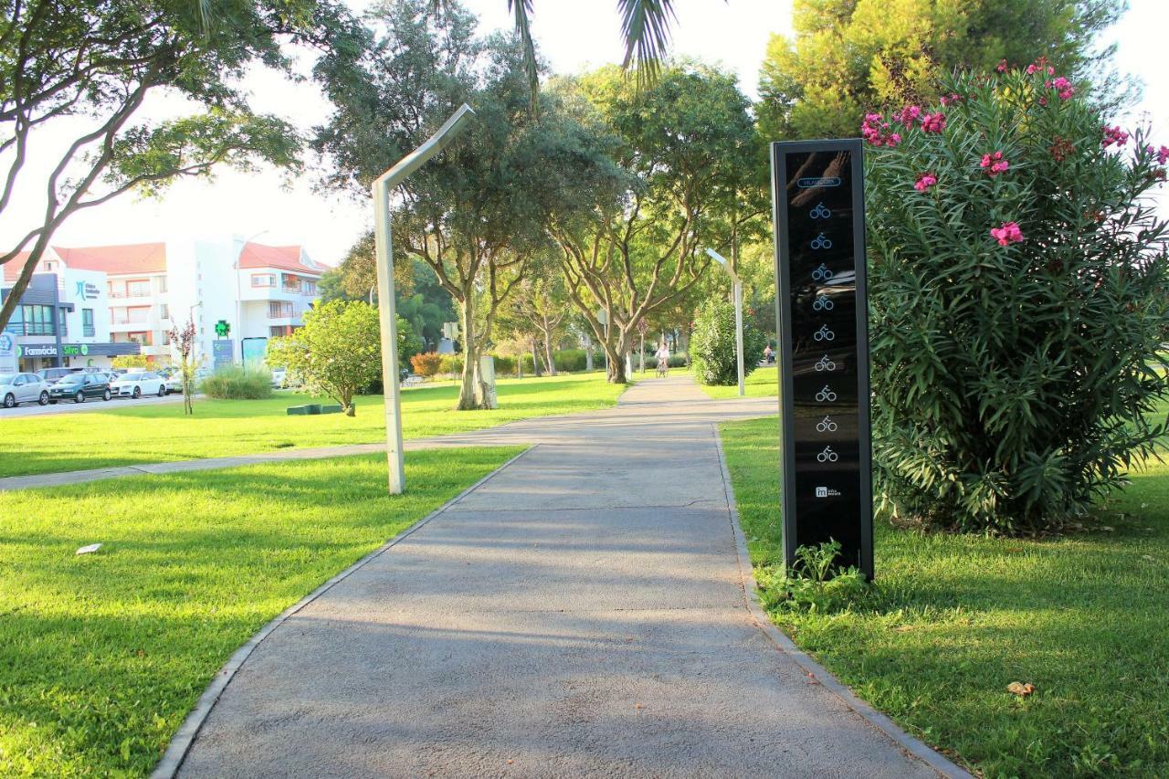Vilamoura Dolphin Studio Exterior photo